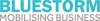 Bluestorm Solutions Logo