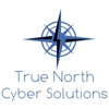 True North Cyber Solutions Logo