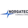 NORGATEC Consulting Logo