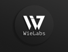 Wielabs Tech Products and Services Private Limited Logo
