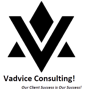 Vadvice Consulting Services LLP Logo