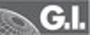 G.I. INDUSTRIAL HOLDING SPA Logo