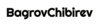 BagrovChibirev Logo
