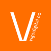 Vigo Logo