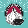 Black Garlic North America Logo