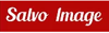 Salvo Image Logo