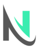 Next Level Web Logo