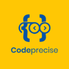 Code Precise IT Solutions LLP Logo