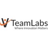 VTeamLabs LLC Logo