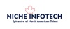 Niche Infotech Logo