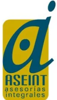 Aseint Ltda Logo