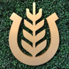 Showpony Logo