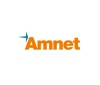 Amnet Systems Private Limited Logo