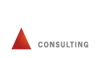 AVIO Consulting Logo