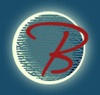 Brian's Web Design Logo