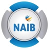 NAIB IT Logo