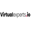 Virtual Experts Logo