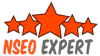 NSEO EXPERT Logo