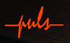 Accounting office PULS Logo