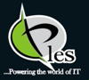 PLES IT Services Limited Logo