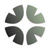 Shoovisual Logo