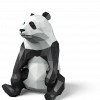 Curious Panda Logo