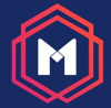 Mesh Security Limited Logo