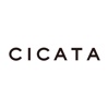 CICATA Agency® Logo