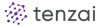 Tenzai Systems Logo
