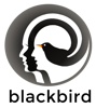 Blackbird Talent Solutions Logo