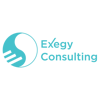 Exegy Consulting Logo