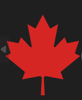 Canada Tax Pros Logo