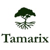 Tamarix Capital Logo