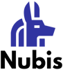 Nubis IT Services Logo