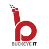 Buckeye I.T. Services, LLC. Logo