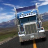 Turek Trucking Company Logo