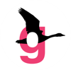 Goose Collaborative Ltd Logo