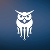Cyber Wise Consulting Logo