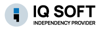 IQsoft LLC Logo
