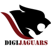 Digijaguars Pvt Ltd Logo