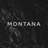 Montana Logo