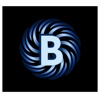 Bizemag Advisors Logo