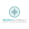 Sidera Consult Logo