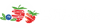 LST Polska Logo