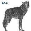 Business Application Developers (B.A.D) Logo