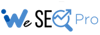 We SEO Pro Logo