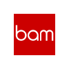 BAM Strategy Logo