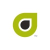 Ability Network Logo