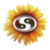 Subtle Network Design & Marketing Logo