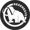 Regenesys-io Logo